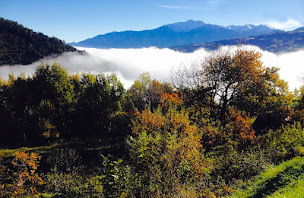 Photo n°9 de eco camper spot à Oreilla (Camping à la ferme)