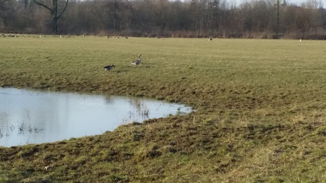 Maximare Erlebnistherme Bad Hamm GmbH