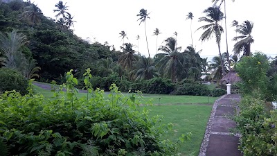 Photos of The Terrace