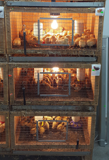 Good's Feed Mill - Thumbnail