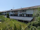 Фотография Платан, Круговая улица, Сочи, Россия