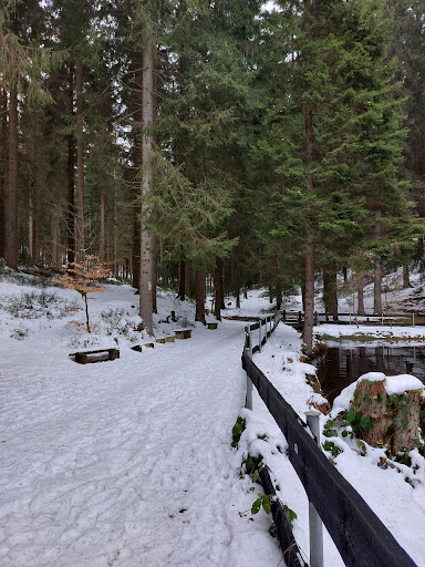 Meiselteich - Thumbnail
