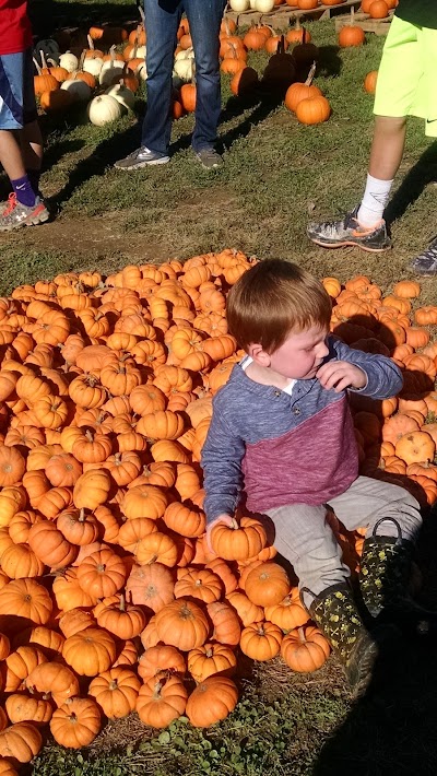 Photos of Aw Shucks Farms