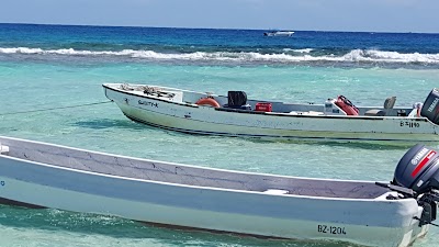 Photos of Ecological Tours & Services