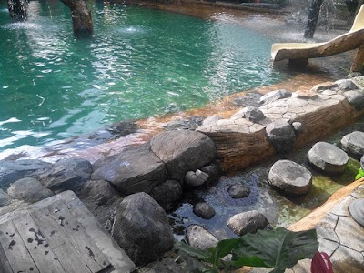 Photos of Kolam renang Hargo Dumilah