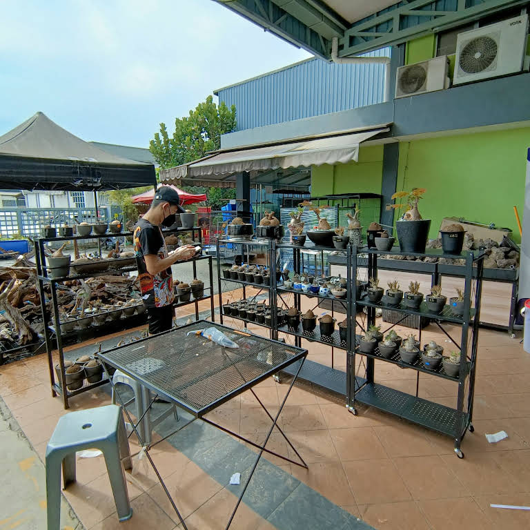 Aquazoom Aquarium Shop In Taman Industri Sungai Buloh