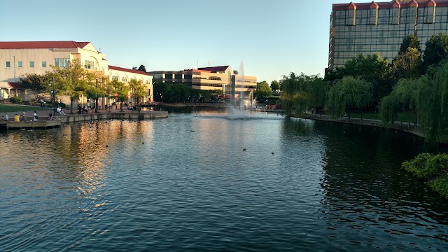 Dave's Paddle Boats