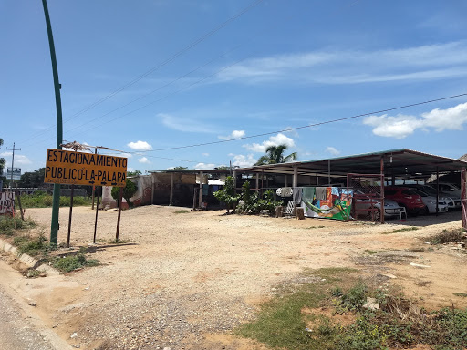 Estacionamiento Publico La Palapa - Thumbnail