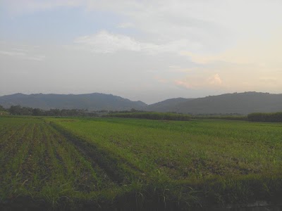 Photos of Gunung Bancak