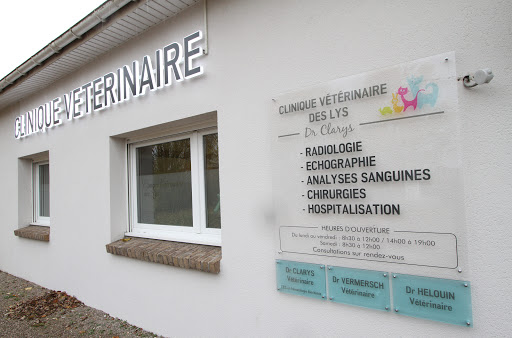 Lys Veterinary clinic - Thumbnail