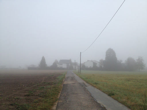 Kappesgärten - Visual