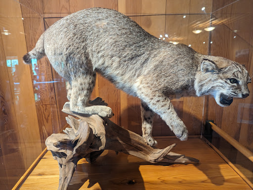 Joseph N. Alexander Visitor Center - Thumbnail