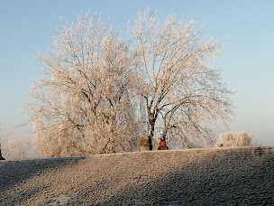 Photo n°6 de Accueil et Promotion à Leval (Association de résidents)