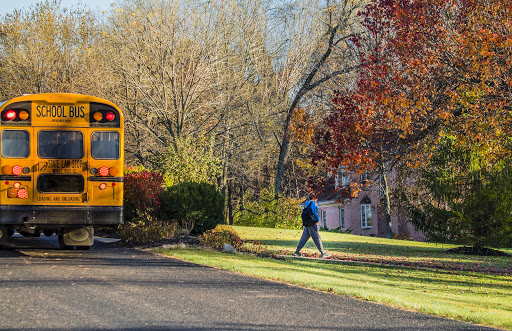 Winkle Bus Co - Thumbnail