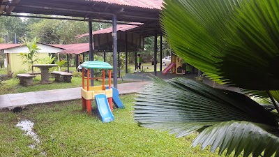 school