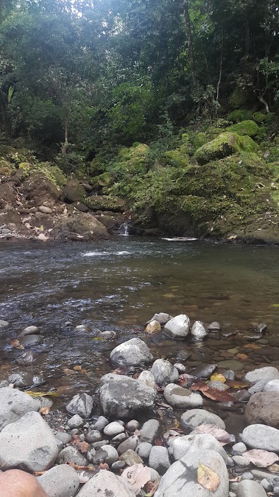 Photos of Puente Damas