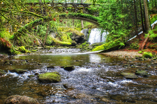 Whatcom Falls Park - Thumbnail