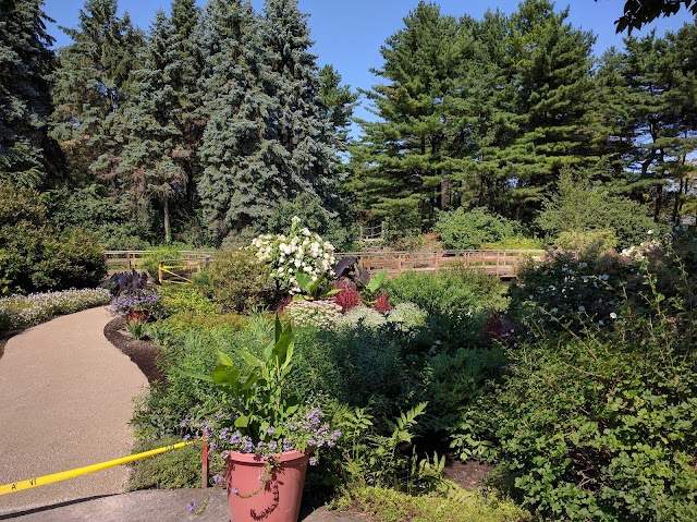 Tour de Lévis