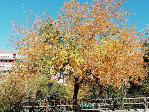 Nuevo Mundo Park - Thumbnail