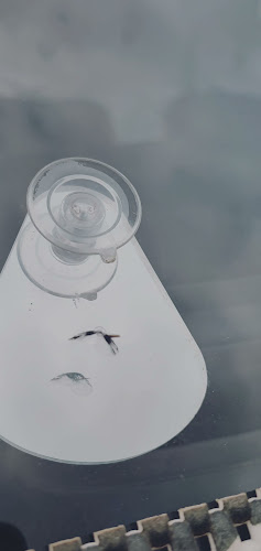 ЛЕПЕНЕ И ВЪЗСТАНОВЯВАНЕ НА СПУКАНИ АВТОСТЪКЛА за ЦЯЛАТА СТРАНА, ГЛАСМЕДЖИК