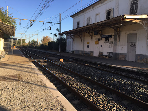 Saint-Saturnin-lès-Avignon