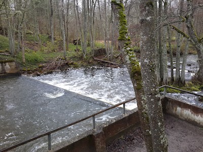 Photos of Rīvas krogs