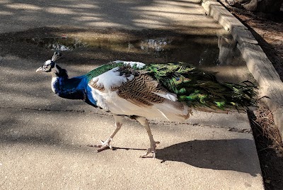 Alabama Gulf Coast Zoo