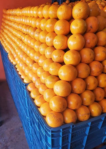 Frutas Y Verduras ¨Valle Del Sol 1¨