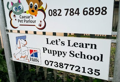 Photos of Village Veterinary Clinic