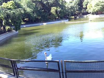 Photos of Yıldız Park
