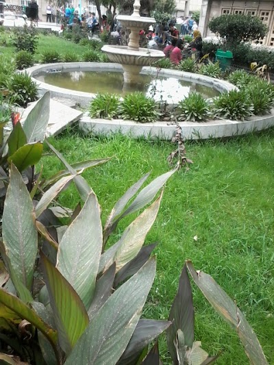 Photos of Chu Nedir Mohamed