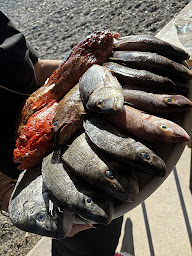 Photo n°46 de Restaurant Mare Chiare à Serriera (Restaurant végétarien)