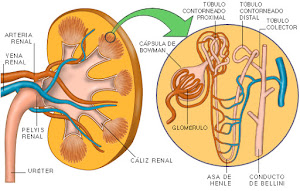 Medicenter 1