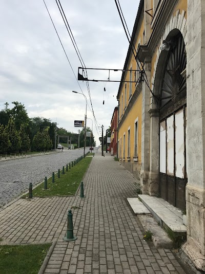 Photos of International Balkan University