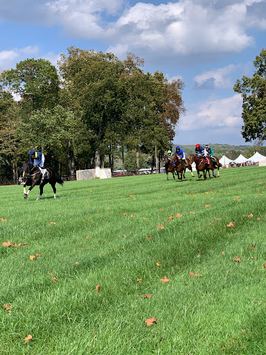 Far Hills Race Meeting - Thumbnail