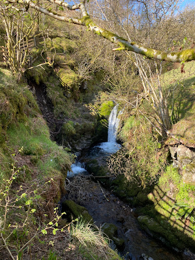 Bank Hill, Dollar, Clackmannanshire - Thumbnail