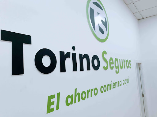 TORINO SEGUROS - Thumbnail