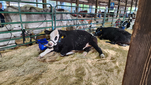 Clay County Fair Association - Thumbnail