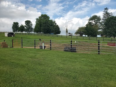 Dusty Hills Riding Academy and Stables