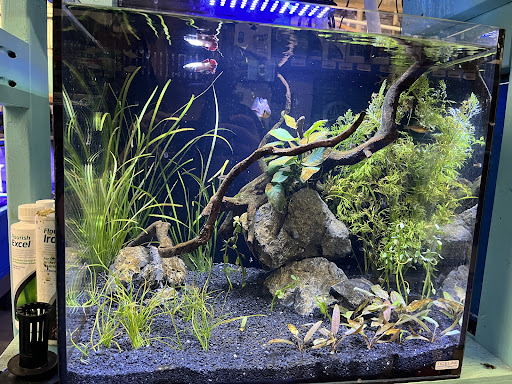 Reef Life Aquariums - Thumbnail