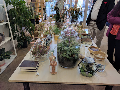 Verde Plant & Candle Bar - Thumbnail