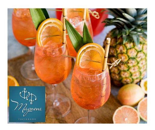 Magneva - Visual
