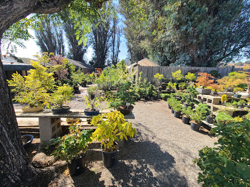 Pond & Garden - Thumbnail