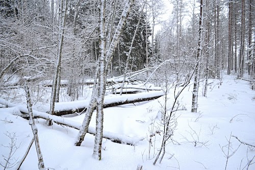 Kraštovaizdziai