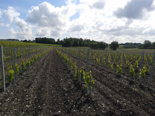 COGNAC MICHELET - Thumbnail