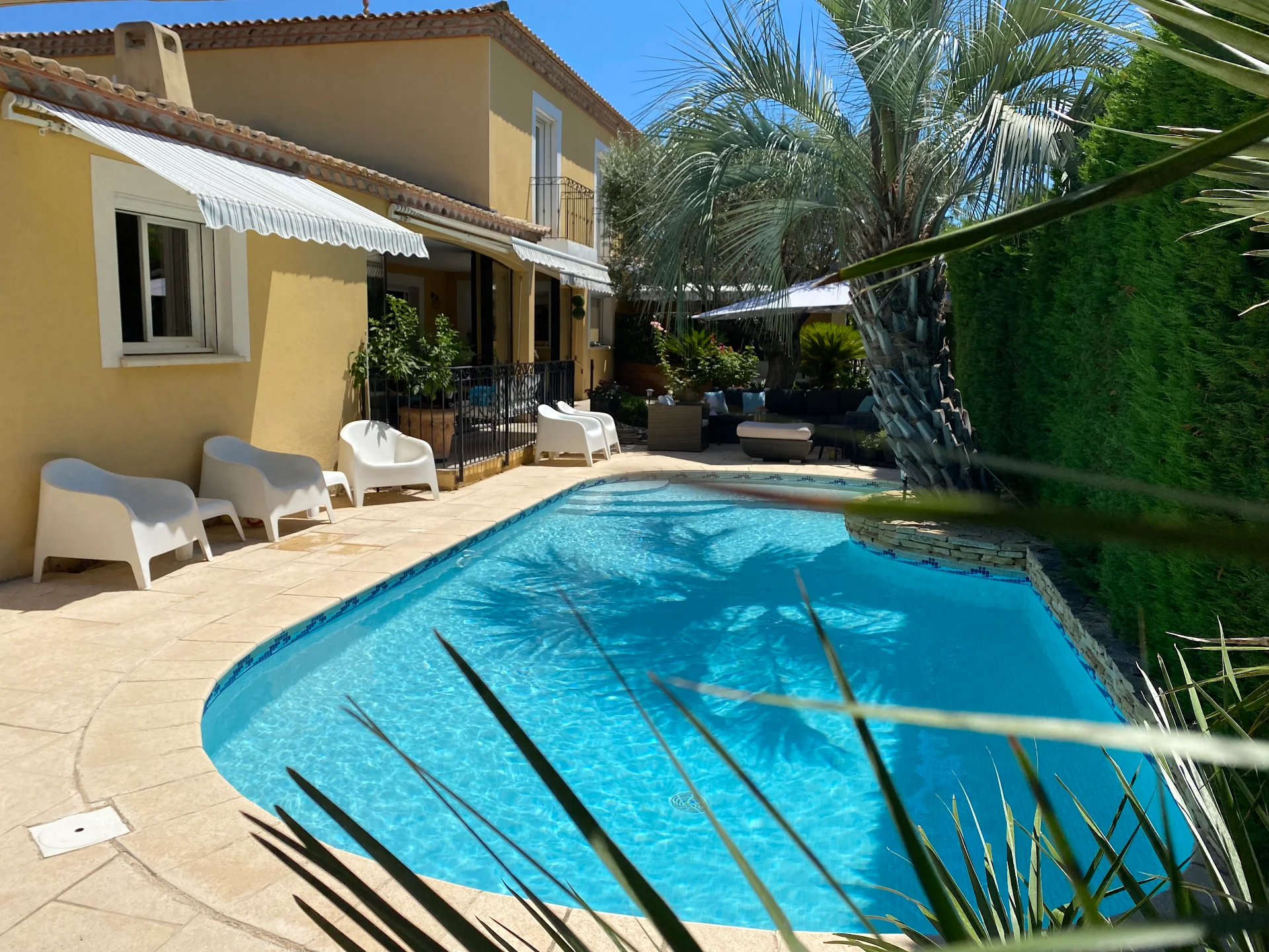 Figs & Palms