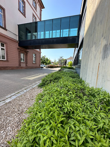 Institut universitaire de technologie de Haguenau - Thumbnail