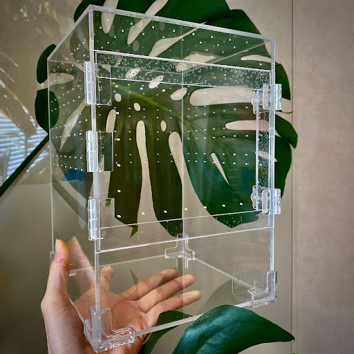 EntoScapes - Visual