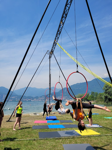AcroVerticaL - Visual