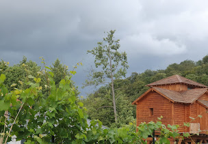 Photo n°11 de La cabane au bain perché à Aspach (Gîte)